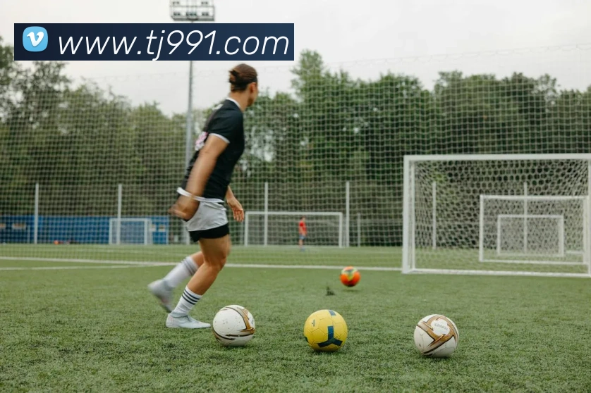 kaiyun官方网站入口平台生态图